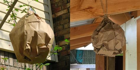 fake hornets nest plastic bag|artificial wasp nests reviews.